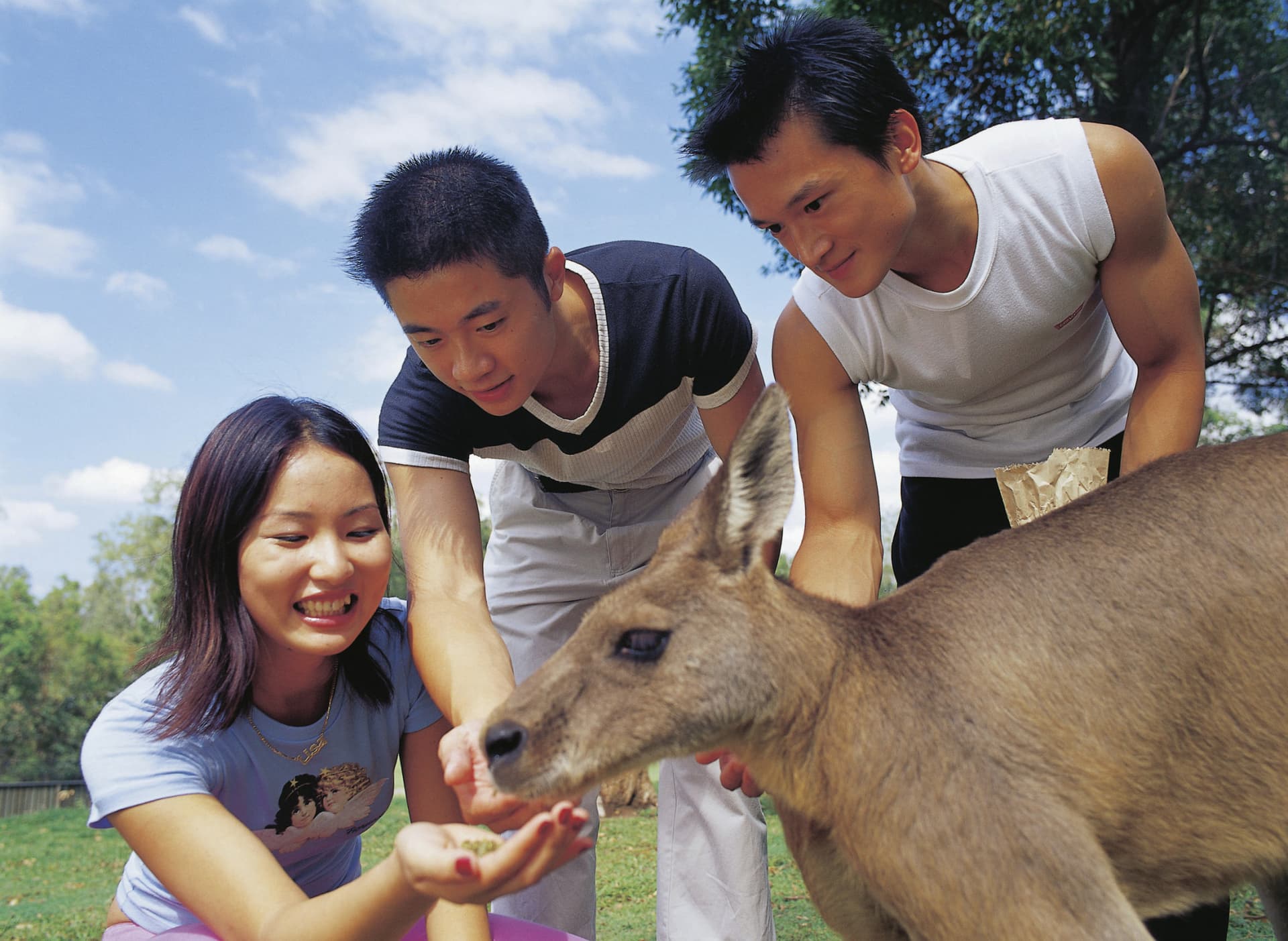 Currumbin Wildlife Sanctuary Gold Coast Ticket - image 4